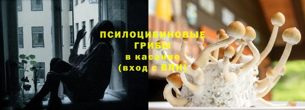 стаф Мегион