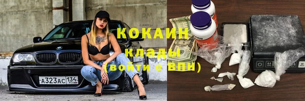 стаф Мегион