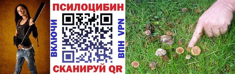 Галлюциногенные грибы мухоморы Никольское